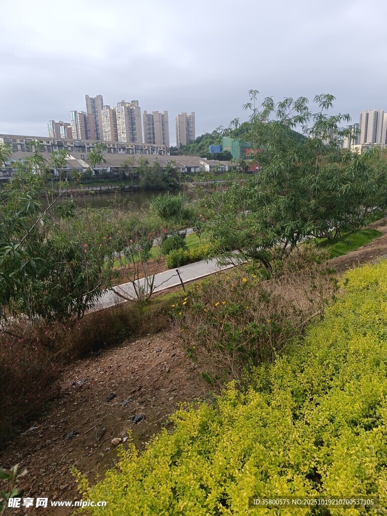 城市边的绿植景观