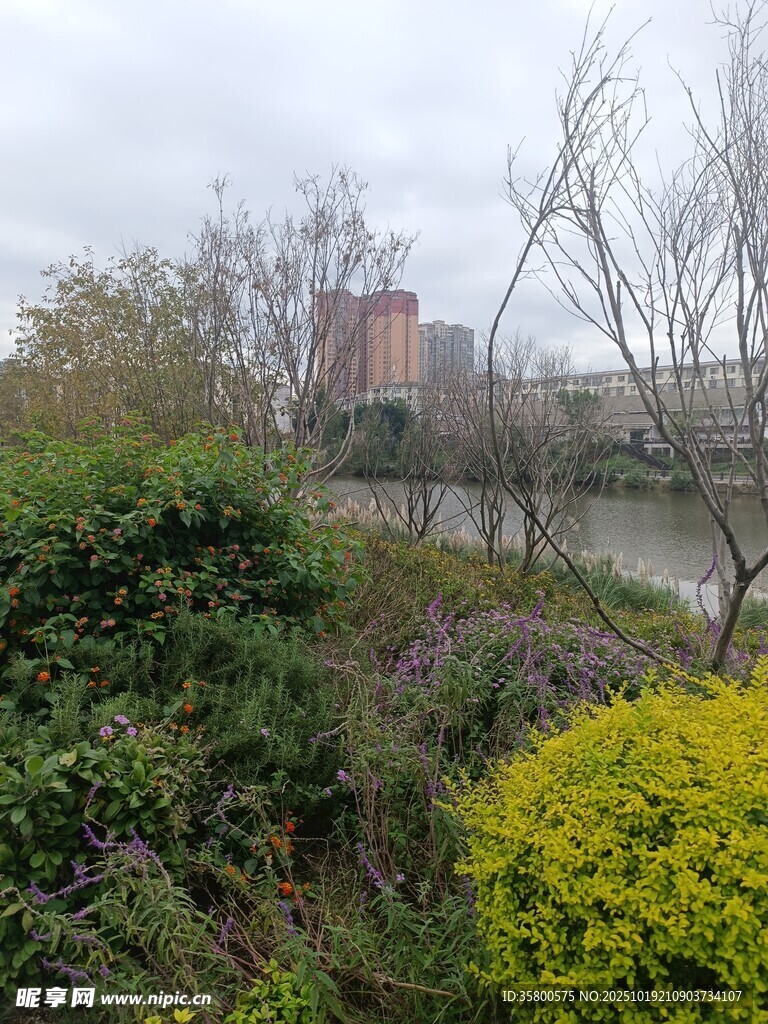 城市河畔绿植景观