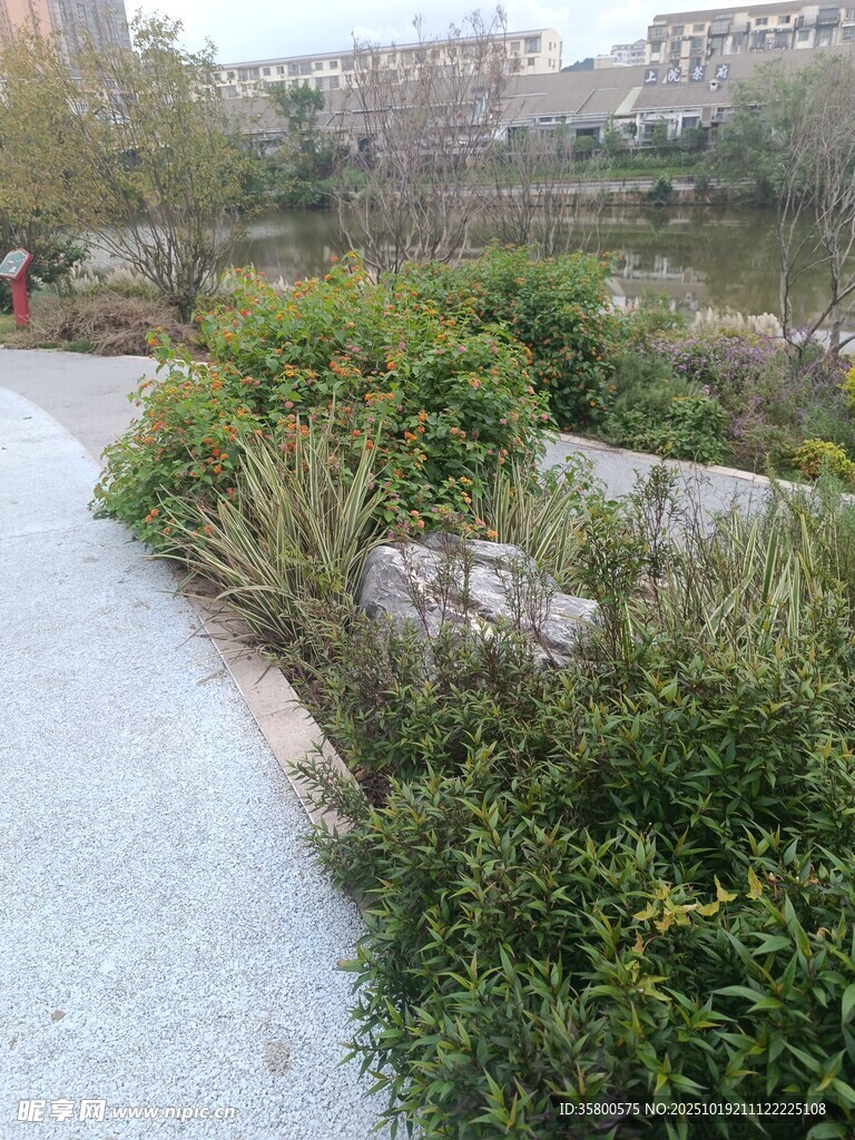 城市中的绿植小径景观