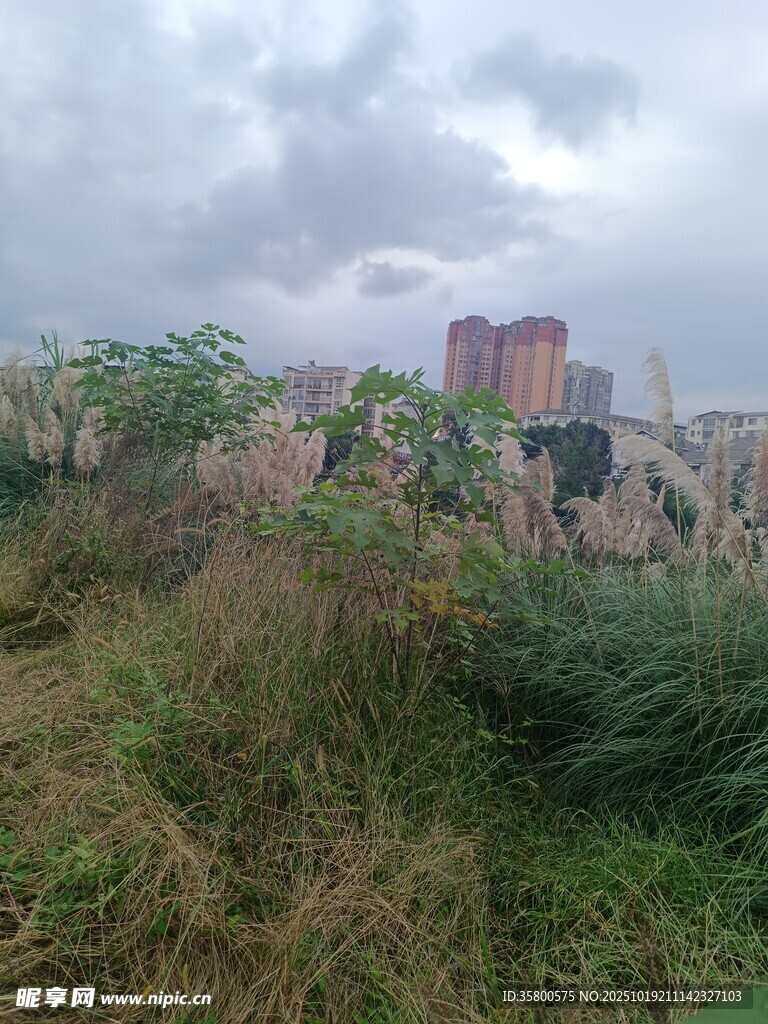 城郊荒废地与远处建筑