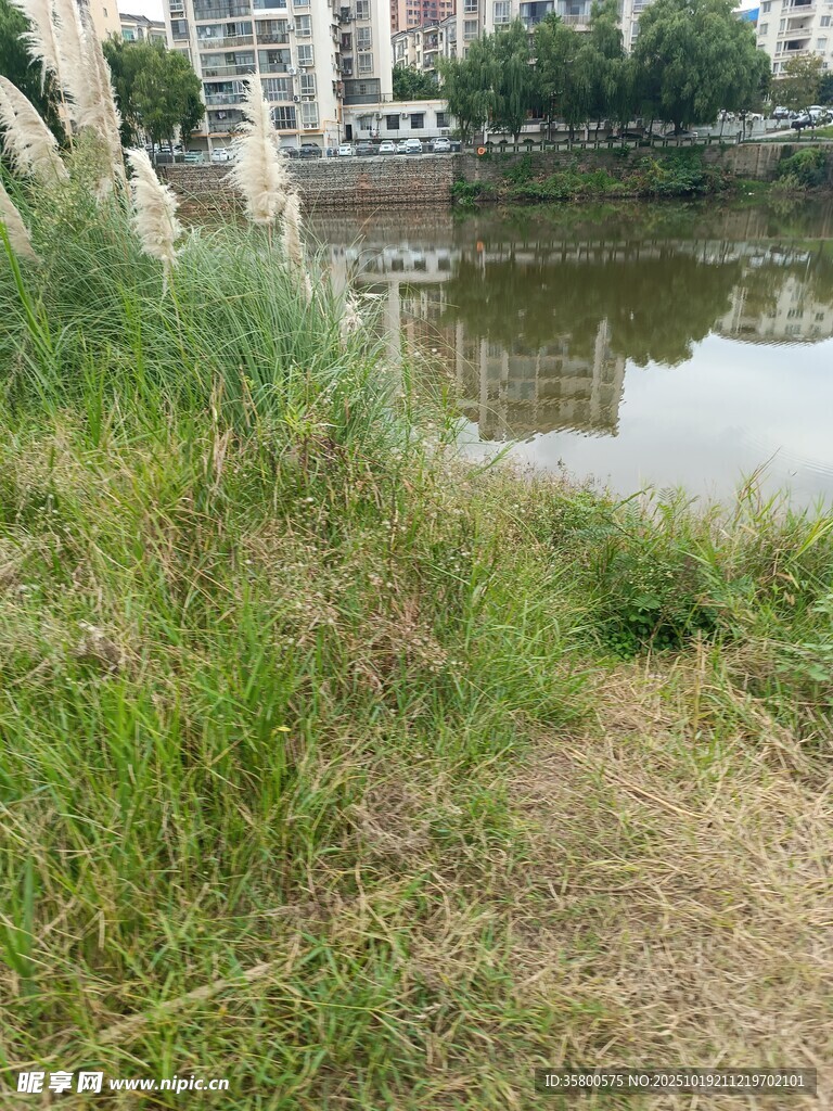 河畔草地与倒影景观