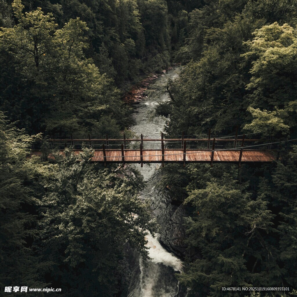 森林中的瀑布与木桥景观