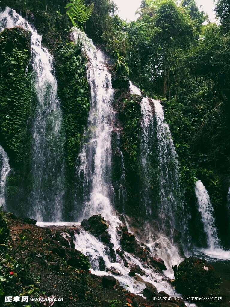 森林中的壮丽瀑布景观