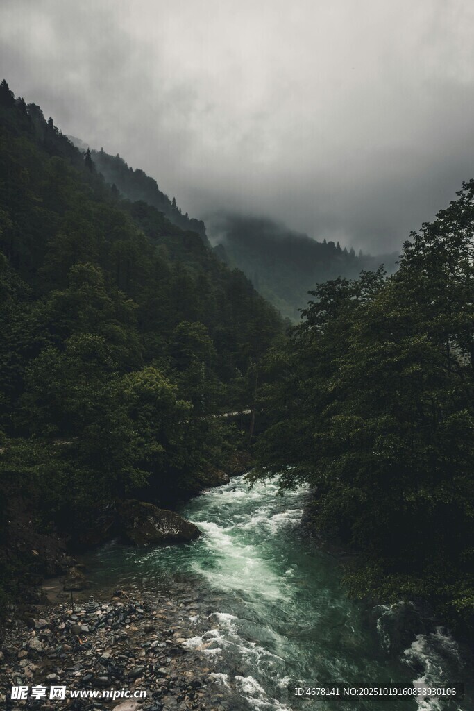 云雾缭绕的山间湍急溪流