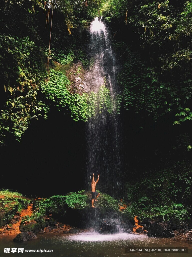 雨林中的迷人瀑布景观