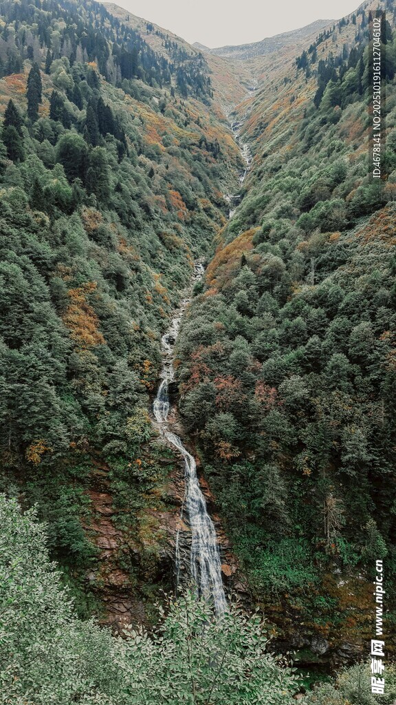 山间瀑布绿意盎然的景致