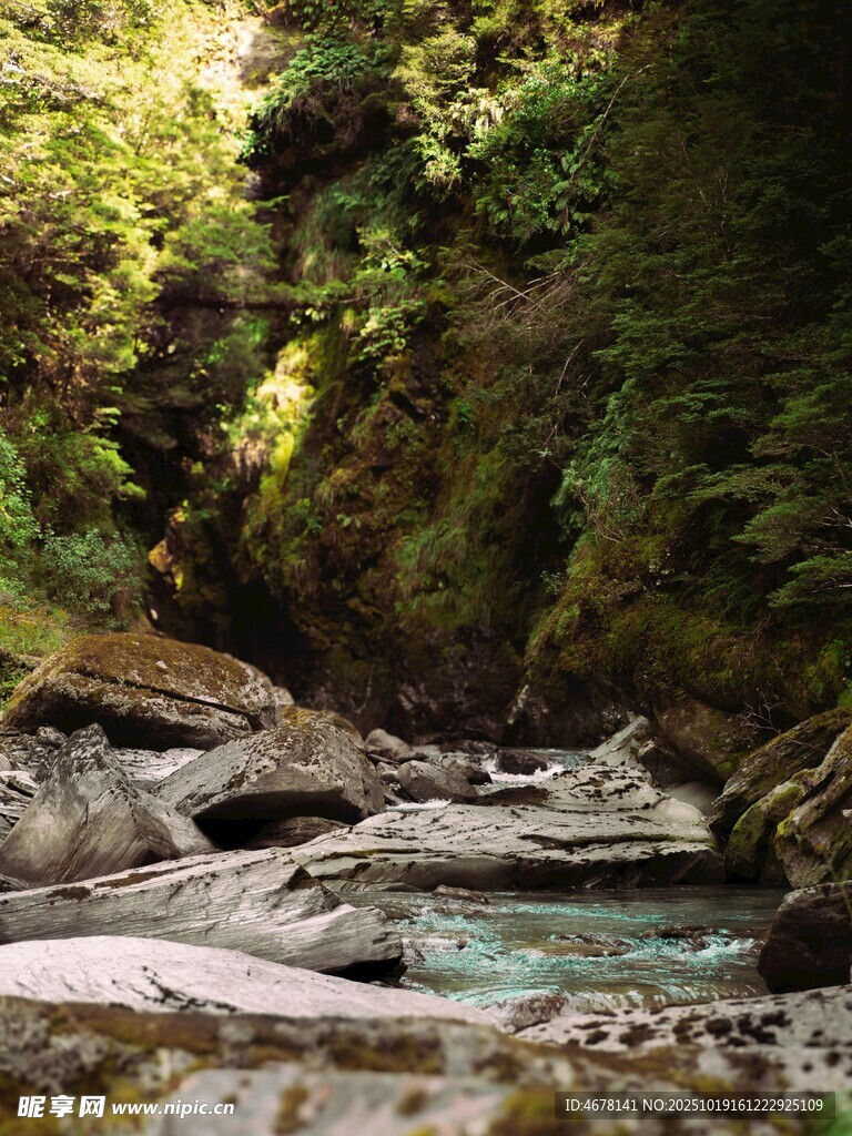 山间溪流绿意盎然之景