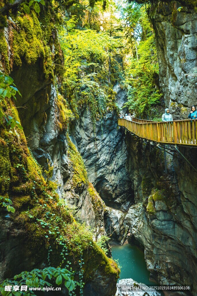 山间栈道穿行翠绿峡谷