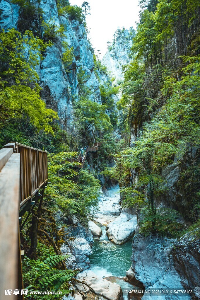 山间溪流旁的木质栈道