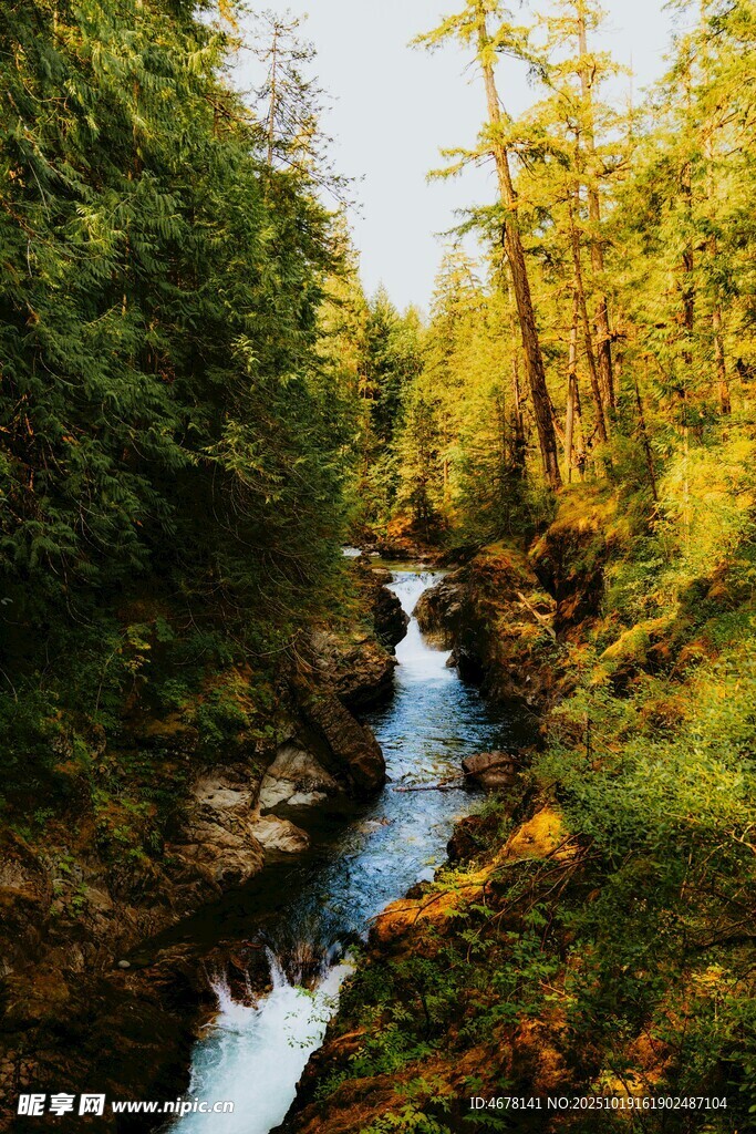 林间溪流秋日山林美景
