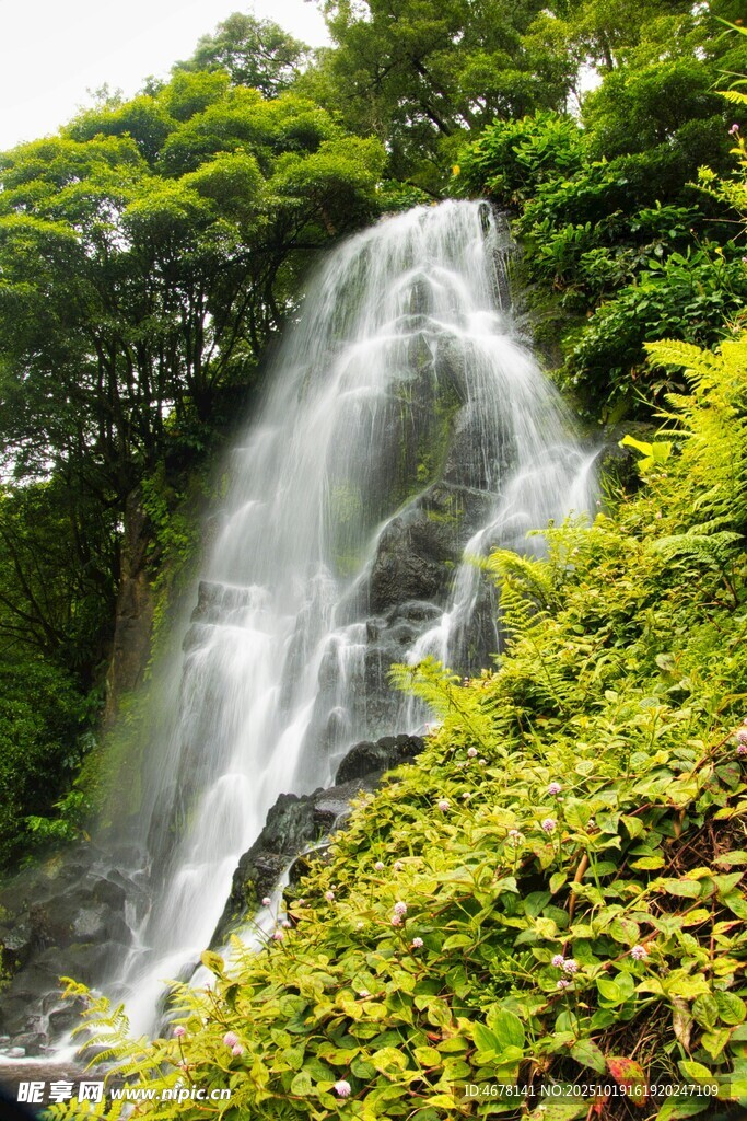 山间飞瀑绿意环绕美景