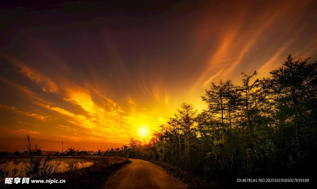 黄昏下的林间道路美景