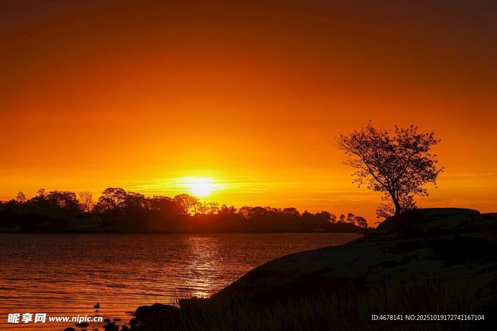 夕阳下的河畔孤树美景