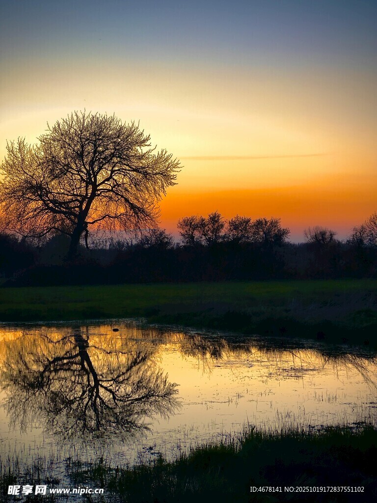 夕阳下树影倒映在水面