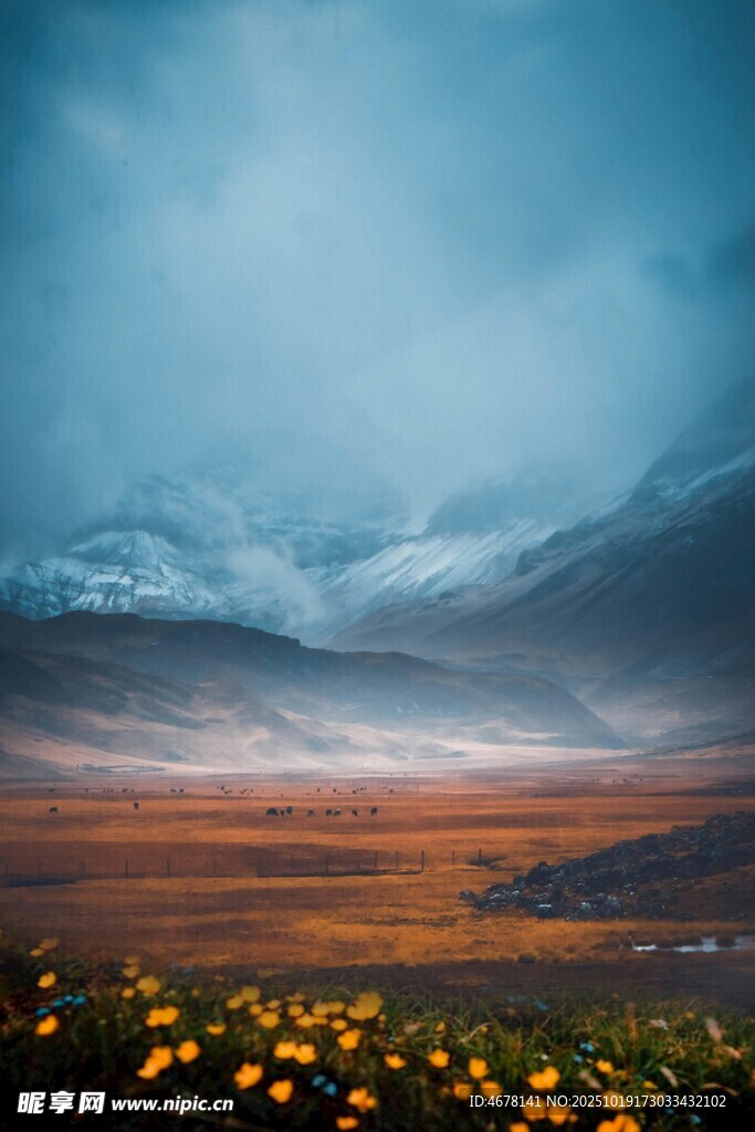 湖畔花海与壮丽天空美景