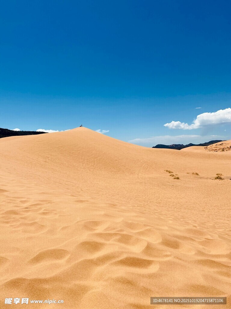 广袤沙漠蓝天之下的沙海