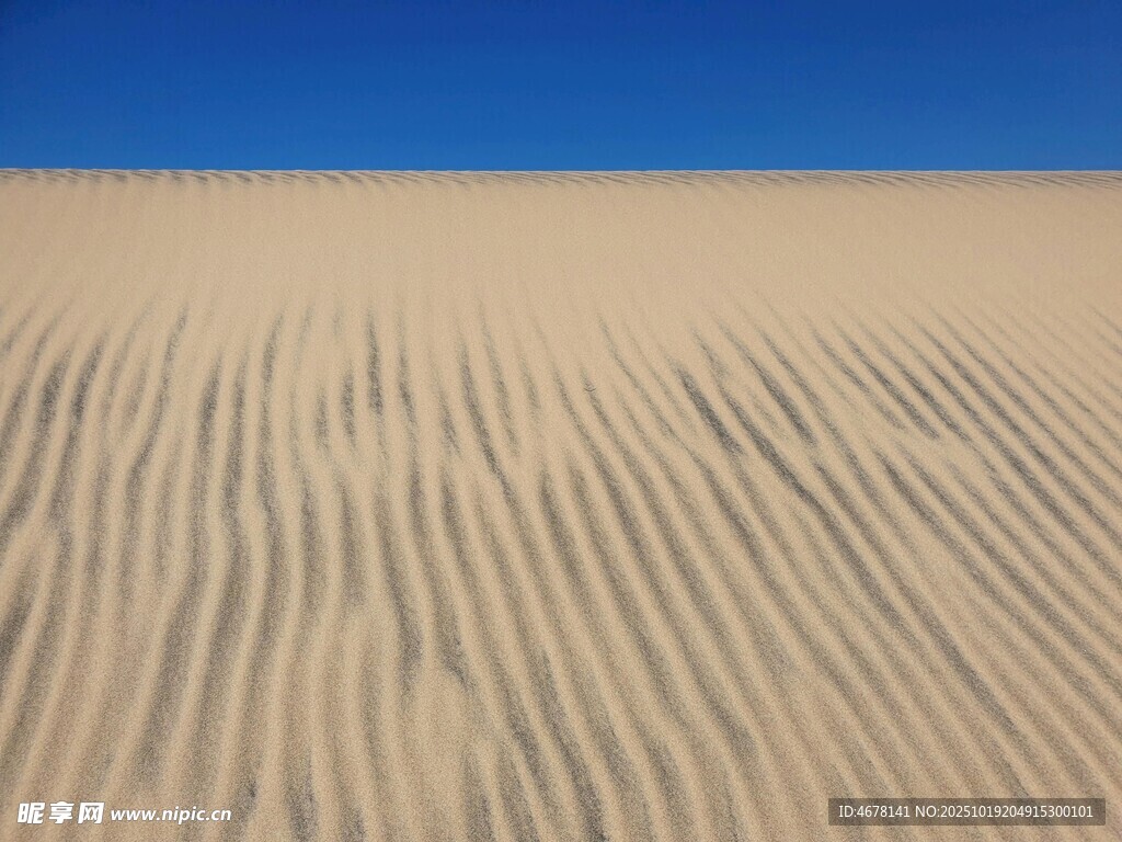 沙漠纹理蓝天映衬下的沙海