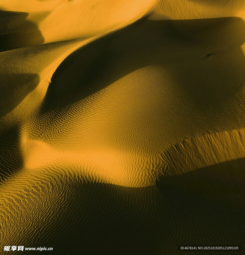 金色沙丘纹理特写画面