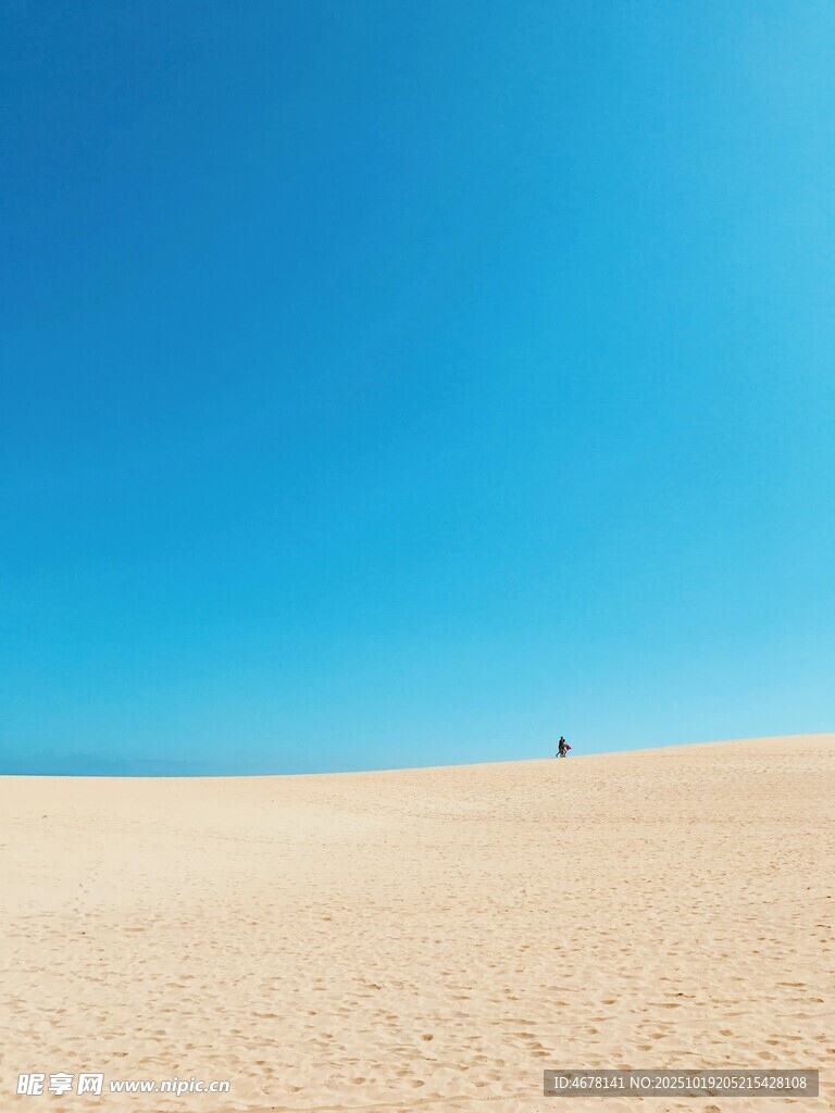 广袤沙漠中的孤影