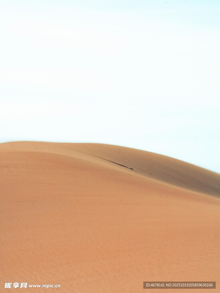 沙漠沙丘景观