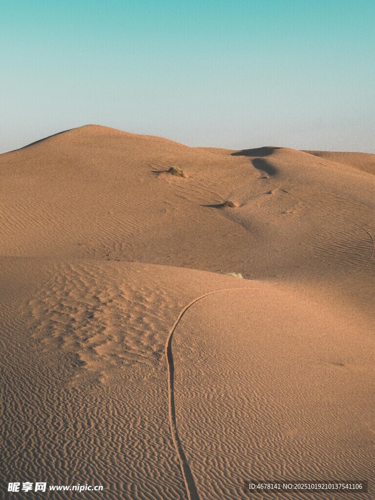 广袤沙漠景观
