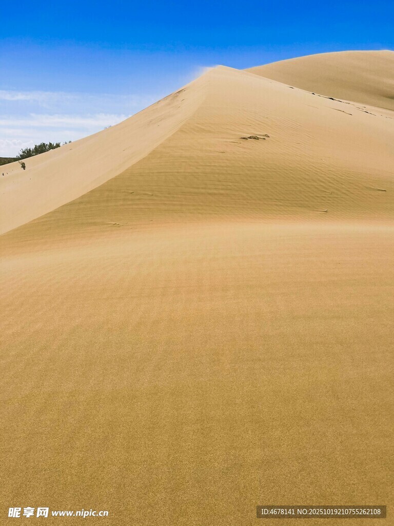 广袤沙漠美景