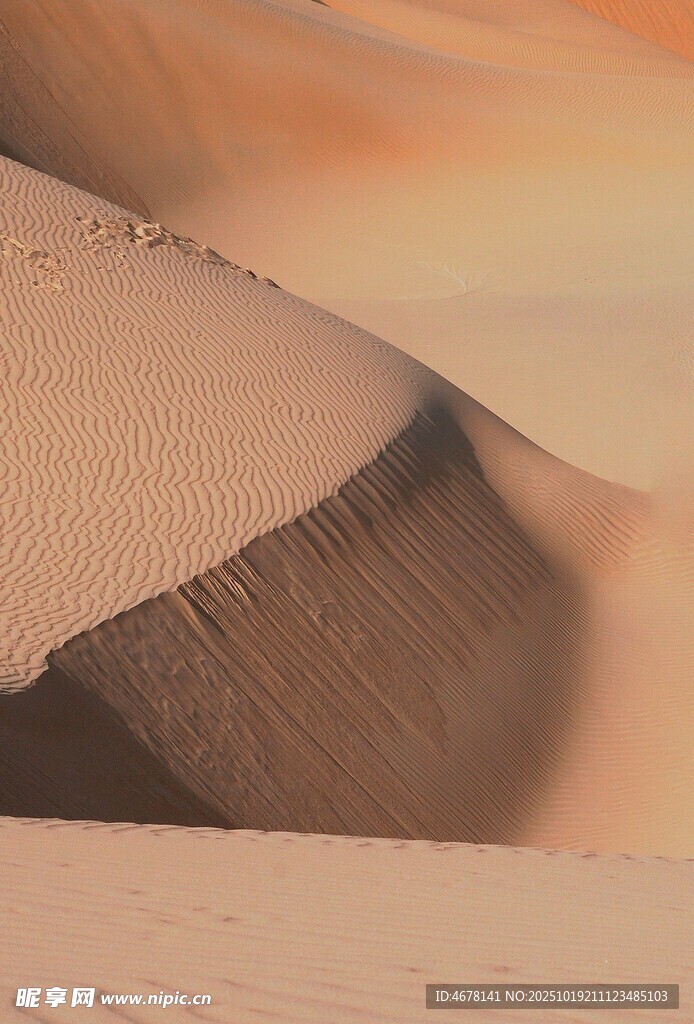 沙漠沙丘特写