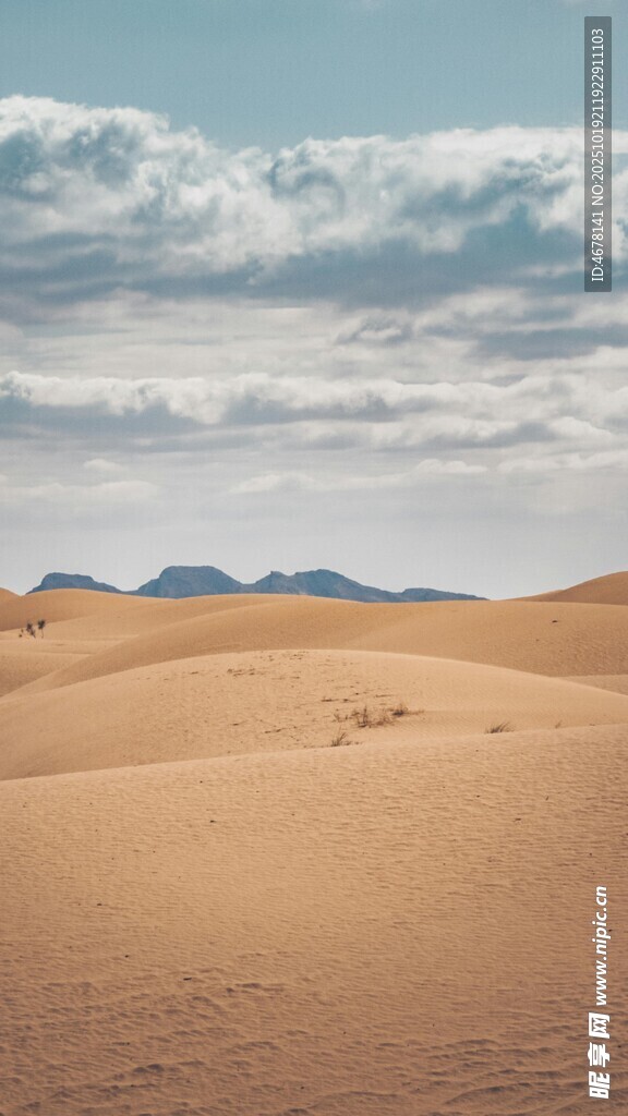 广袤沙漠与天际线景观