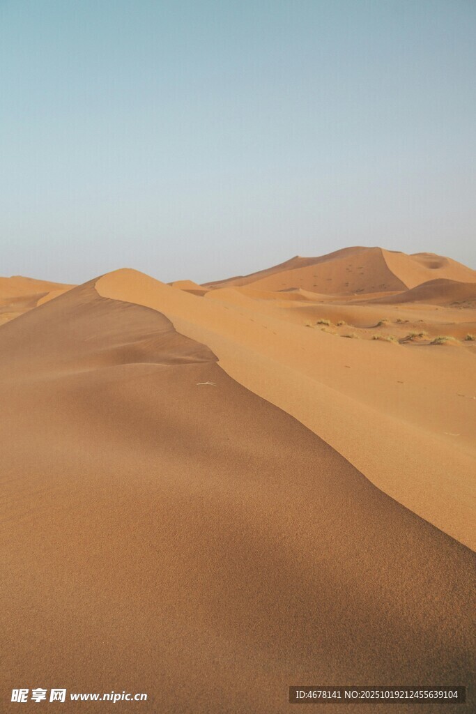 广袤沙漠景观