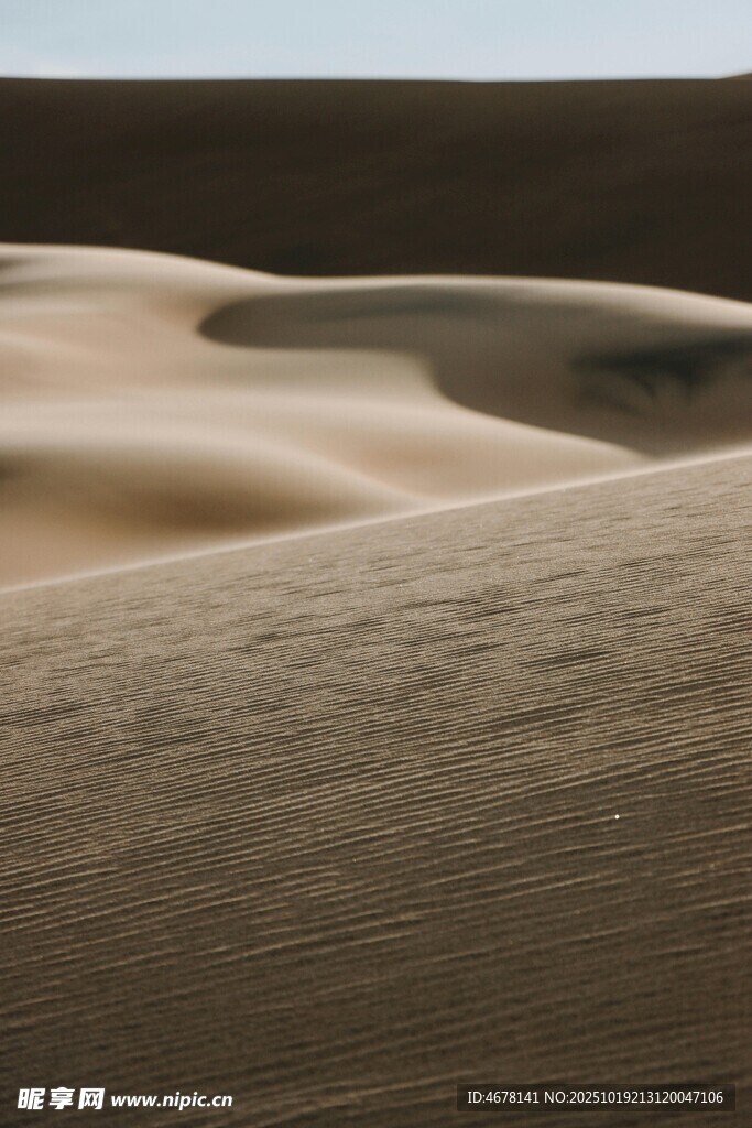 沙漠沙丘景观