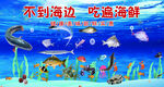 海底边挖宝遇海洋生物