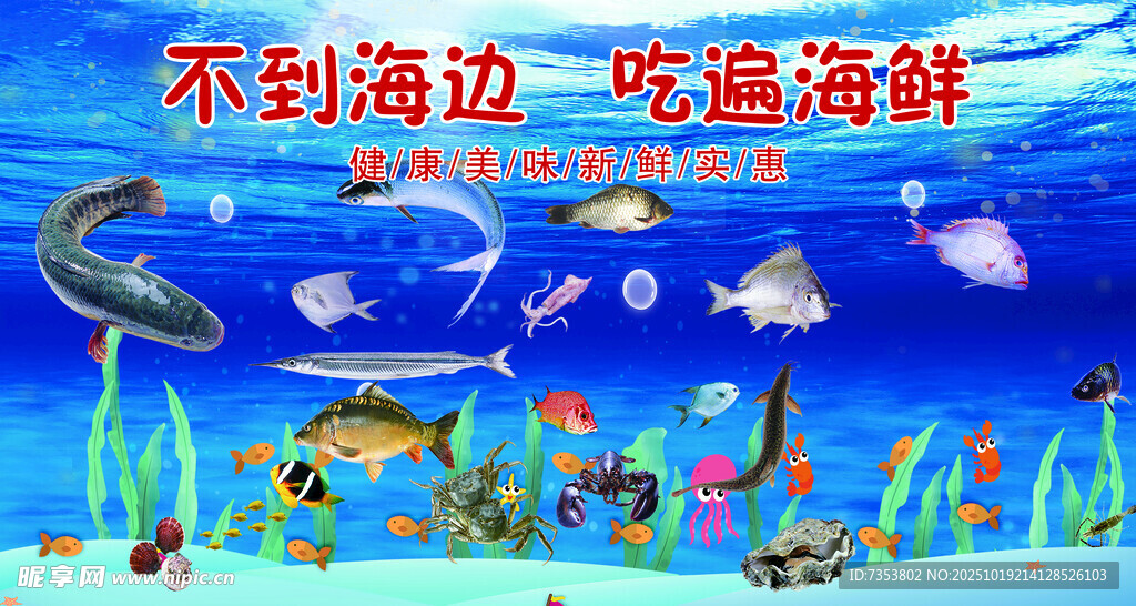 海底边挖宝遇海洋生物