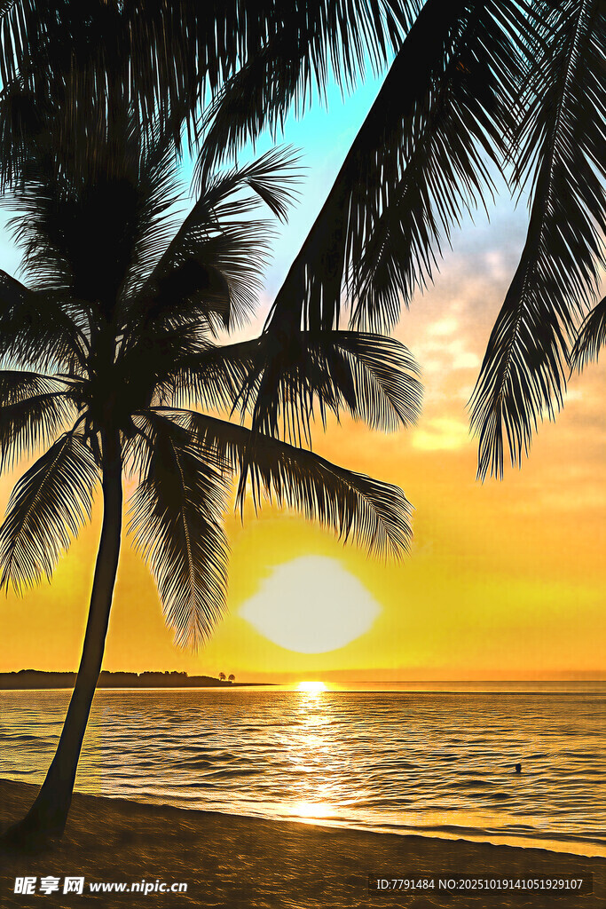 海边椰树夕阳美景