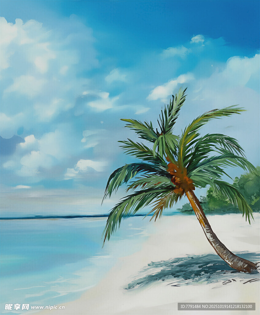 海边倾斜的棕榈树美景