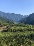 山间绿野
