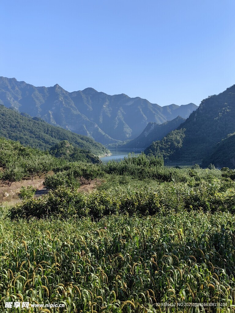 山间绿野