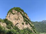 青山绿意浓