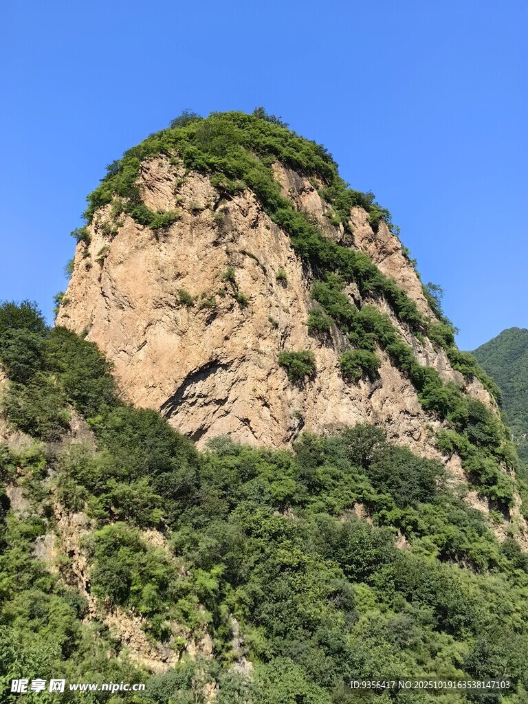 青山