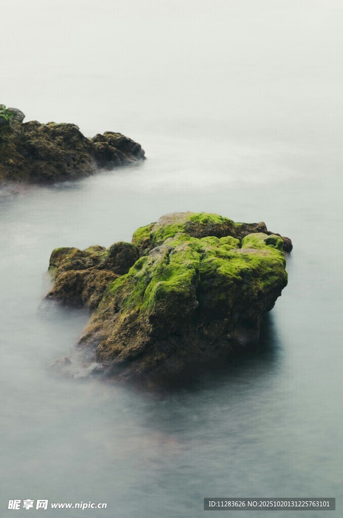 海面上覆绿苔的孤立岩石