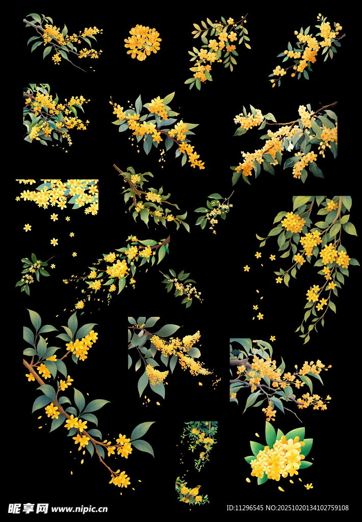 手绘桂花装饰图案