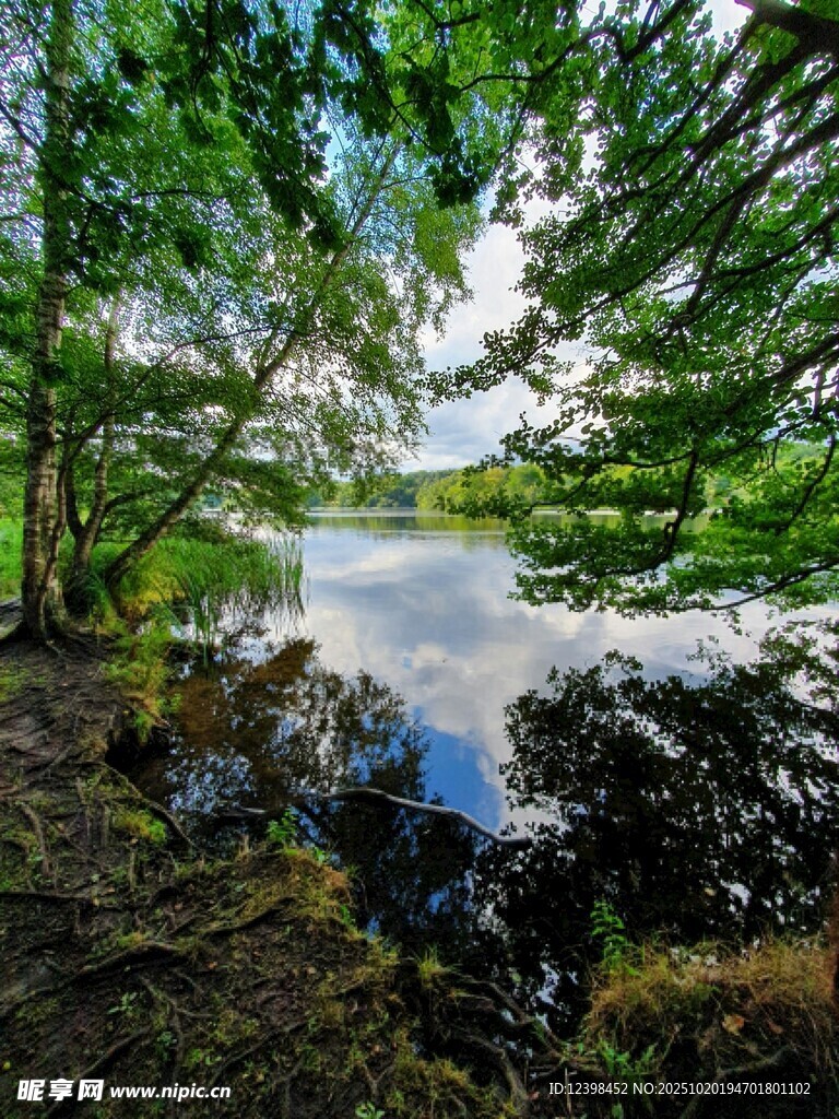 林间静谧湖水自然美景