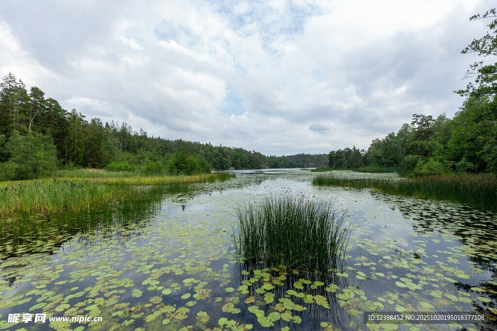 宁静湖畔的自然美景