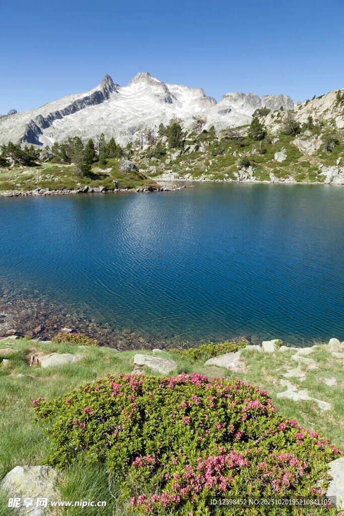 高山湖畔美景
