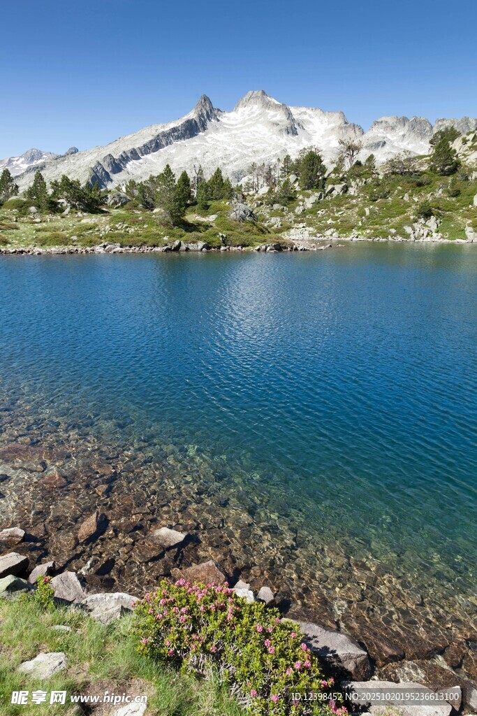 高山湖畔美景