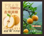 新鲜梨 甜蜜多汁