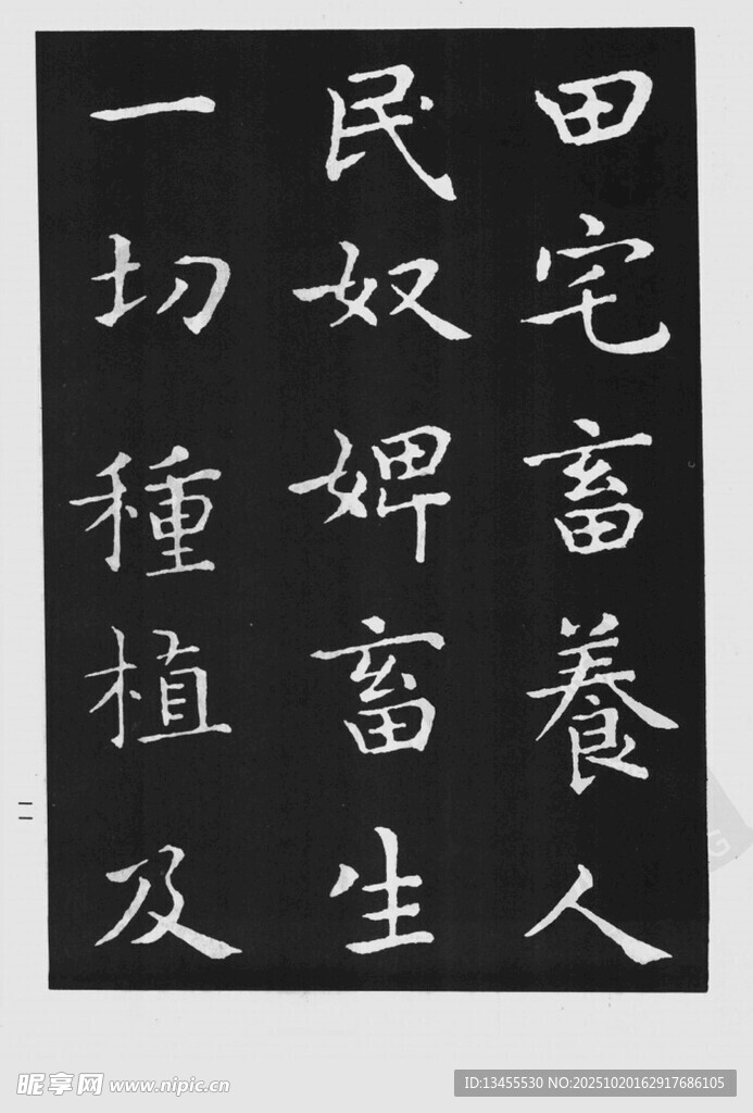 古代书法文字展示