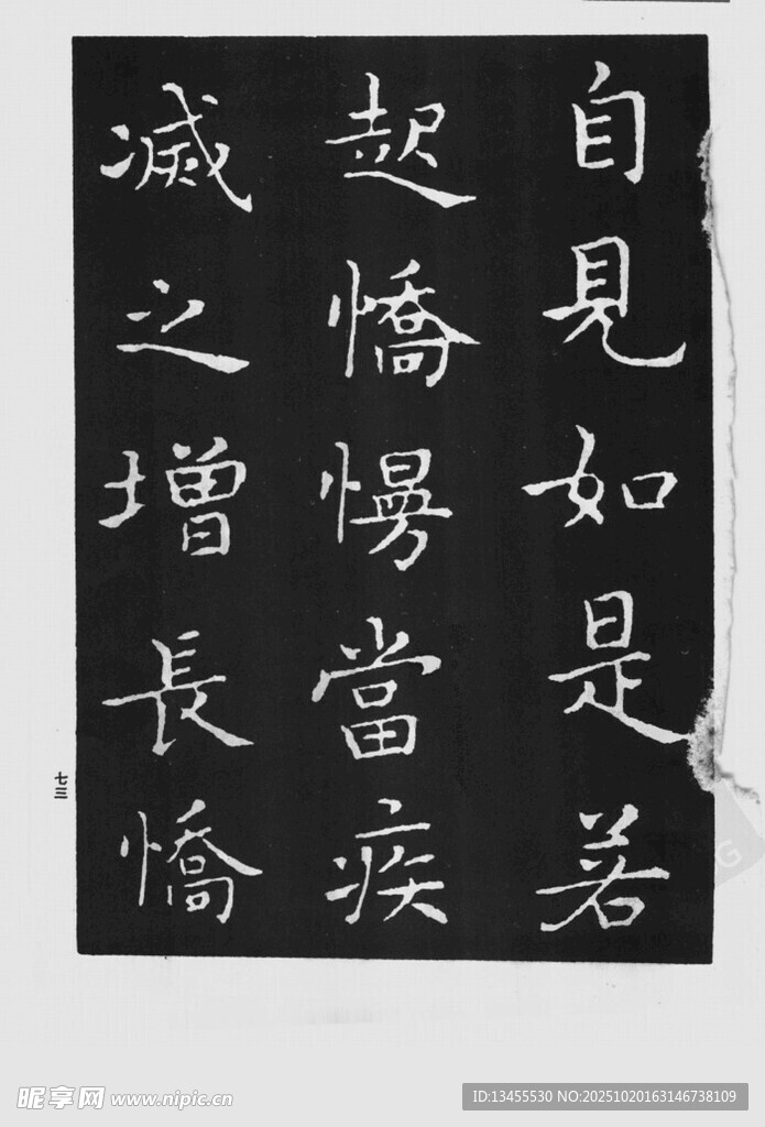 书法作品展示