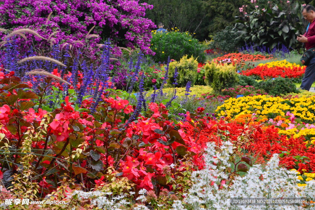 天坛花境风景  