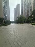 城市小区内的开阔步道景观