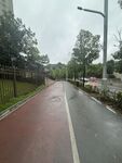 雨中的城市彩色骑行道路